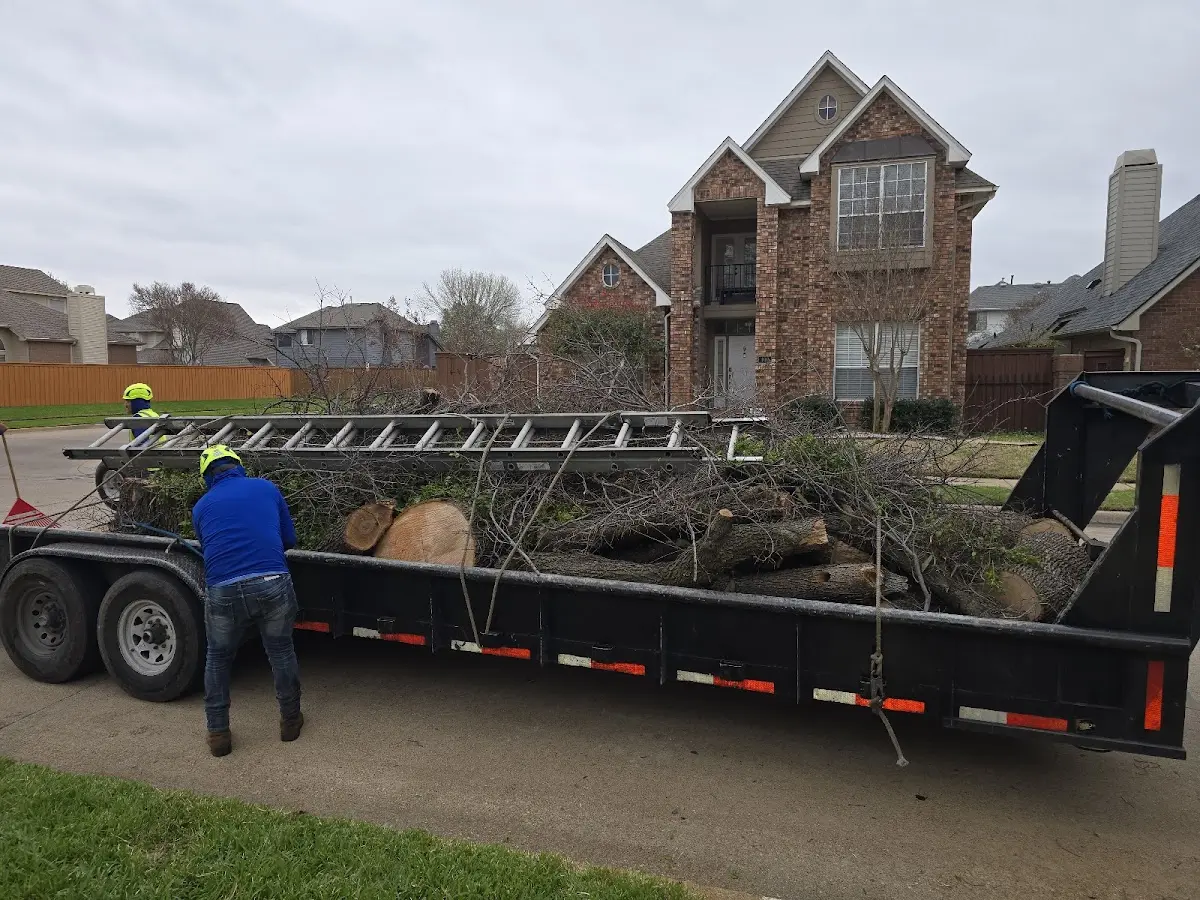 Expert Tree Removal with proper safety equipment in Atco
